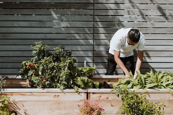 Comment fabriquer une jardinière en bois ?