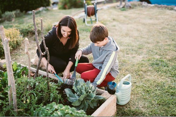 Le développement des potagers urbains à Genève pour favoriser l’environnement et le bien-être